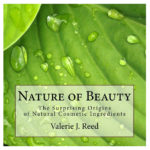 Nature of Beauty Book Cover